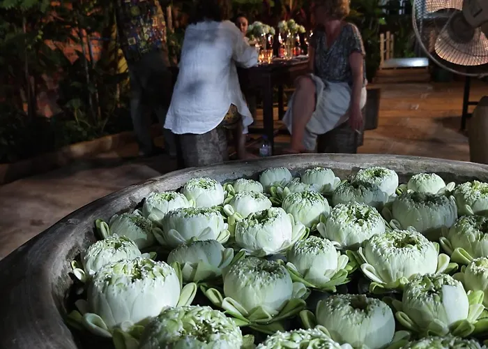 Kwatera prywatna Yellow Natural House *
