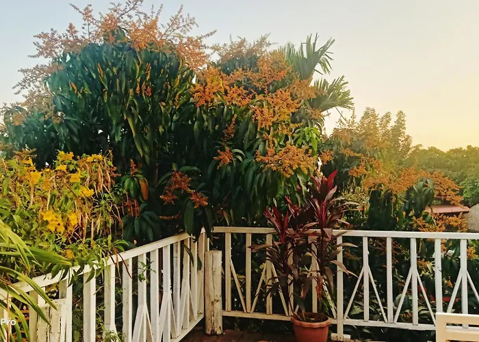 Yellow Natural House Siem Reap
