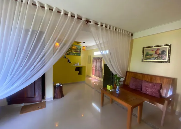 Yellow Natural House